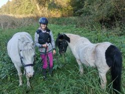 Projížďky na ponících v rodinné farmě Černá vovce Třeboc