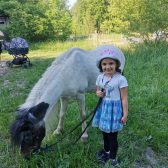 Projížďky na ponících v rodinné farmě Černá vovce Třeboc