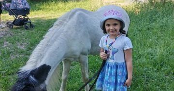 Projížďky na ponících v rodinné farmě Černá vovce Třeboc – nezapomenutelný zážitek pro děti na malebné farmě