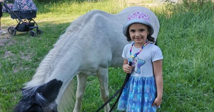 Projížďky na ponících v rodinné farmě Černá vovce Třeboc