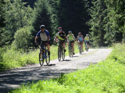 Cyklistická úniková hra - Šumava-Lipno