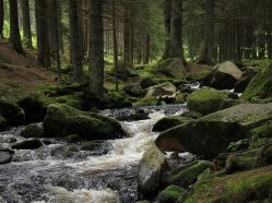 Cyklistická úniková hra - Šumava-Lipno