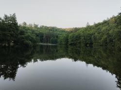 Venkovní hra Brno - Cesta za pravěkým pokladem