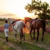 Výuka jízdy na koních na Farmě pod Hradem Dívčí Hrad