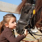 Jízda na pony pro děti na Ranči FALADA Česká Lípa