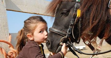 Jízda na pony pro děti na Ranči FALADA Česká Lípa – prožijte nezapomenutelné odpoledne s poníky