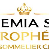 BOHEMIA SEKT TROPHÉE - SOMMELIER ČR - Professional