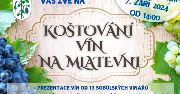 Koštování vín na mlatevni v Sobůlkách