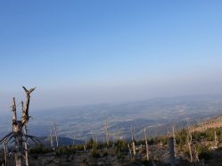 Šumava