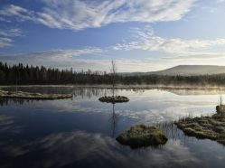 Šumava