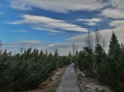 Šumava