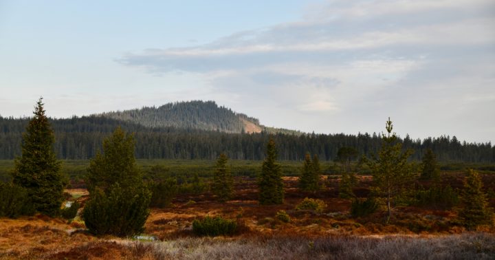 Šumava