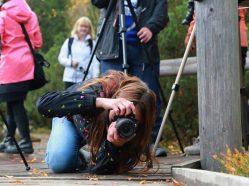 Fotografický kurz - základy fotografování pro každého